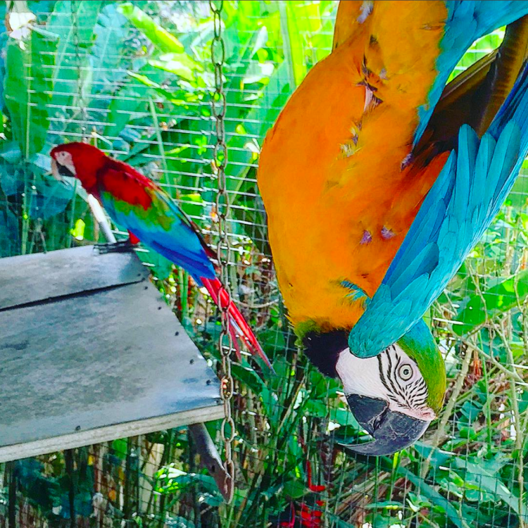 screen-shot-2016-09-25-at-8-23-55-pm