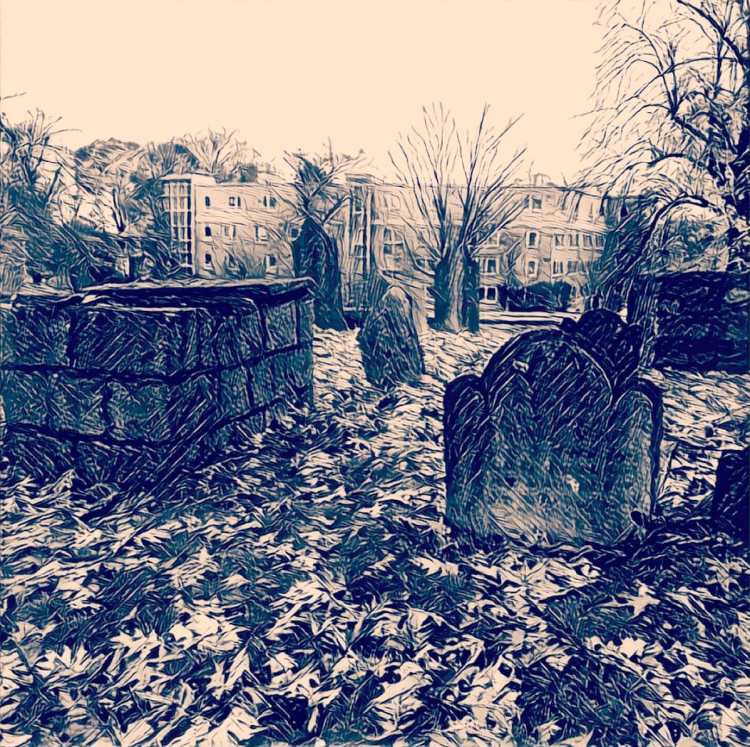 screen-shot-2016-12-12-at-6-47-44-pm