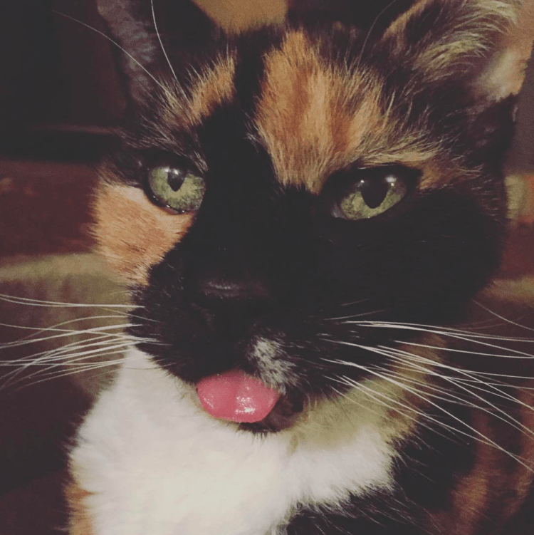 Screen Shot 2017-09-17 at 4.30.35 PM